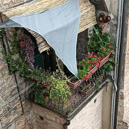 Toscanamente Daire